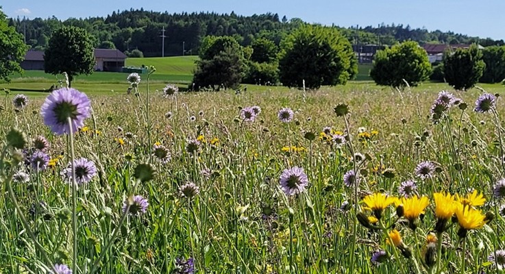 Biodiversität
